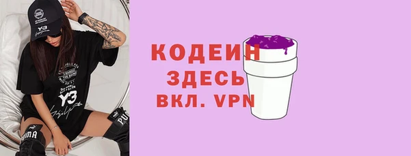 мдпв Горно-Алтайск