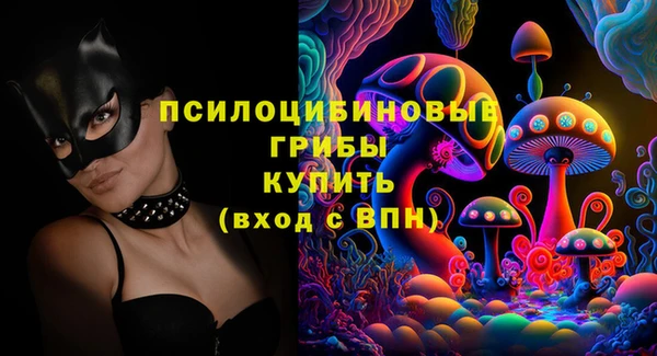 мдпв Горно-Алтайск