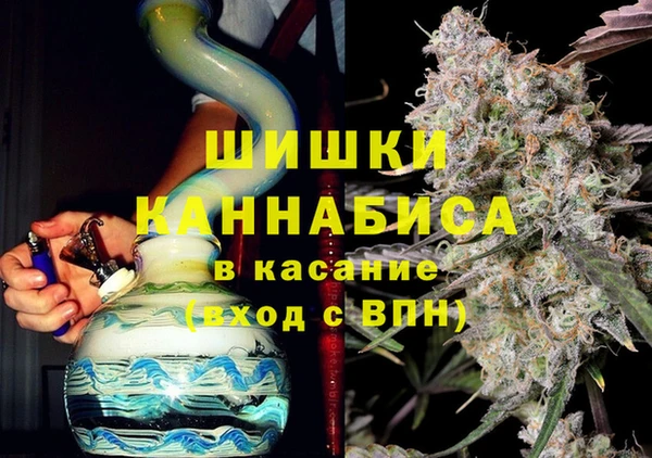 мдпв Горно-Алтайск