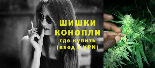 мдпв Горно-Алтайск