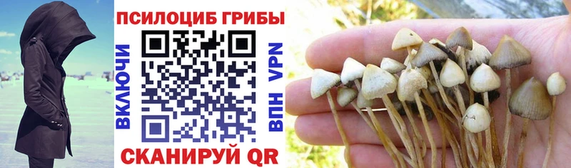 Псилоцибиновые грибы Cubensis Стерлитамак